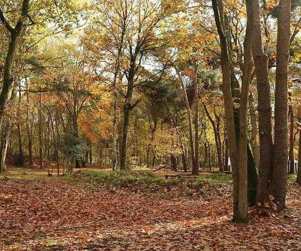 50|50 Belmont 3* Ede